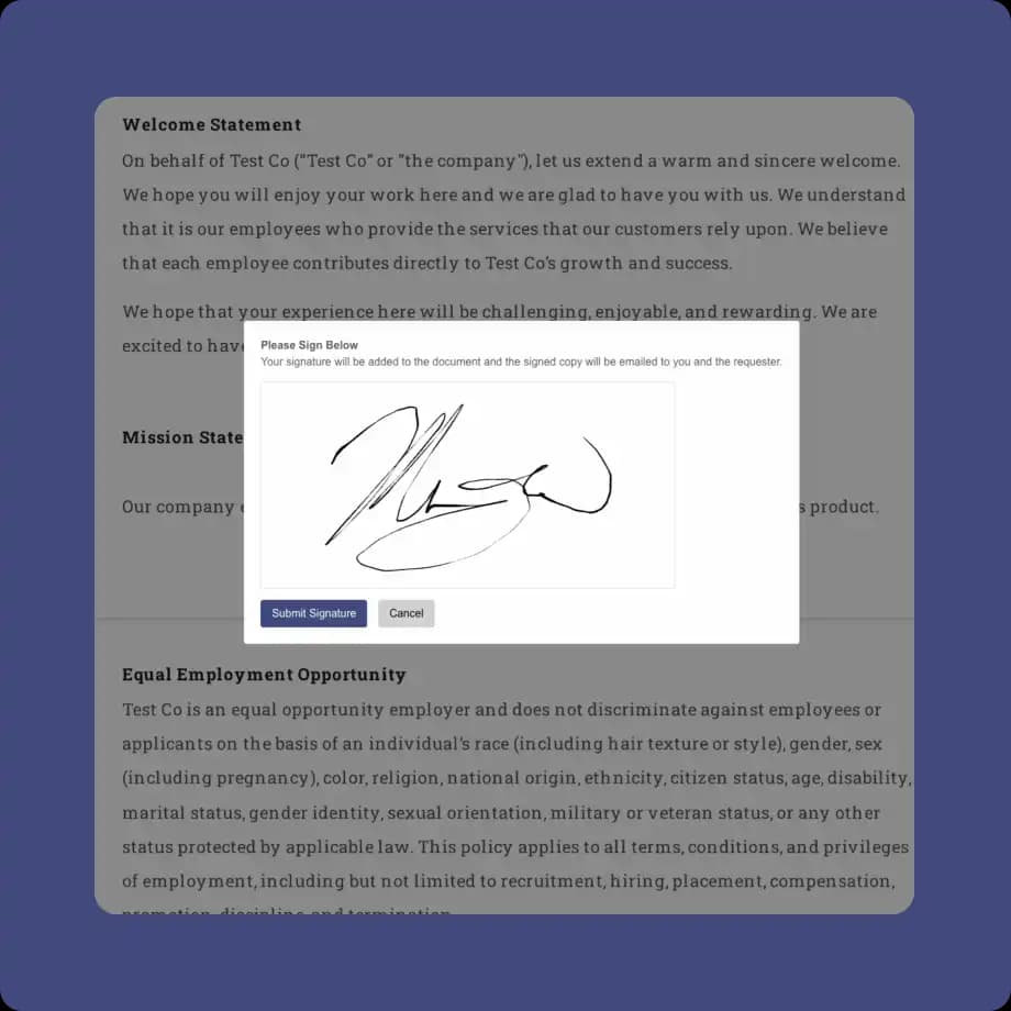 Electronic signature capture